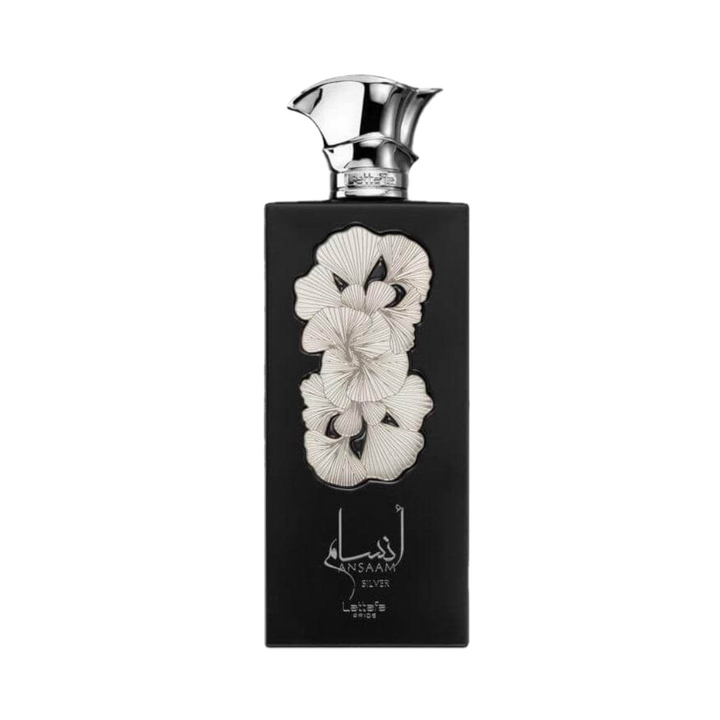 Ansaam Silver 100ml