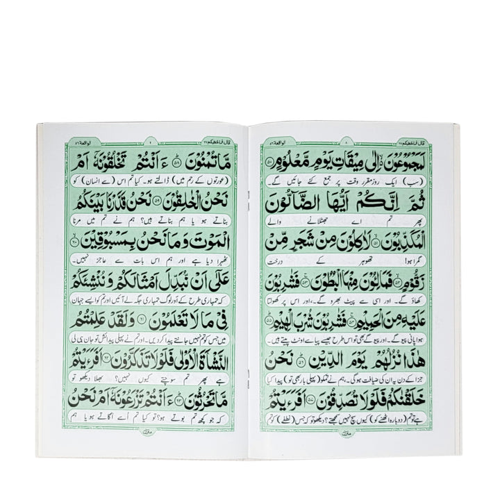 Quranic surahs