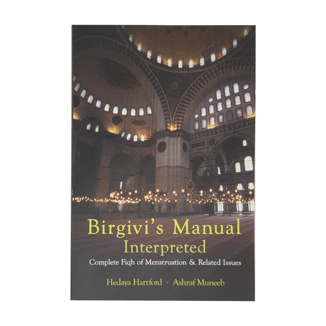 BIRGIVIS MANUAL INTERPRETED